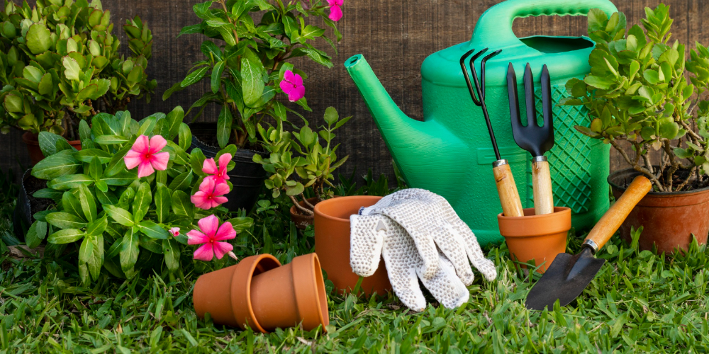 Top 6 Gardening Activities for Kids – The Coco Depot