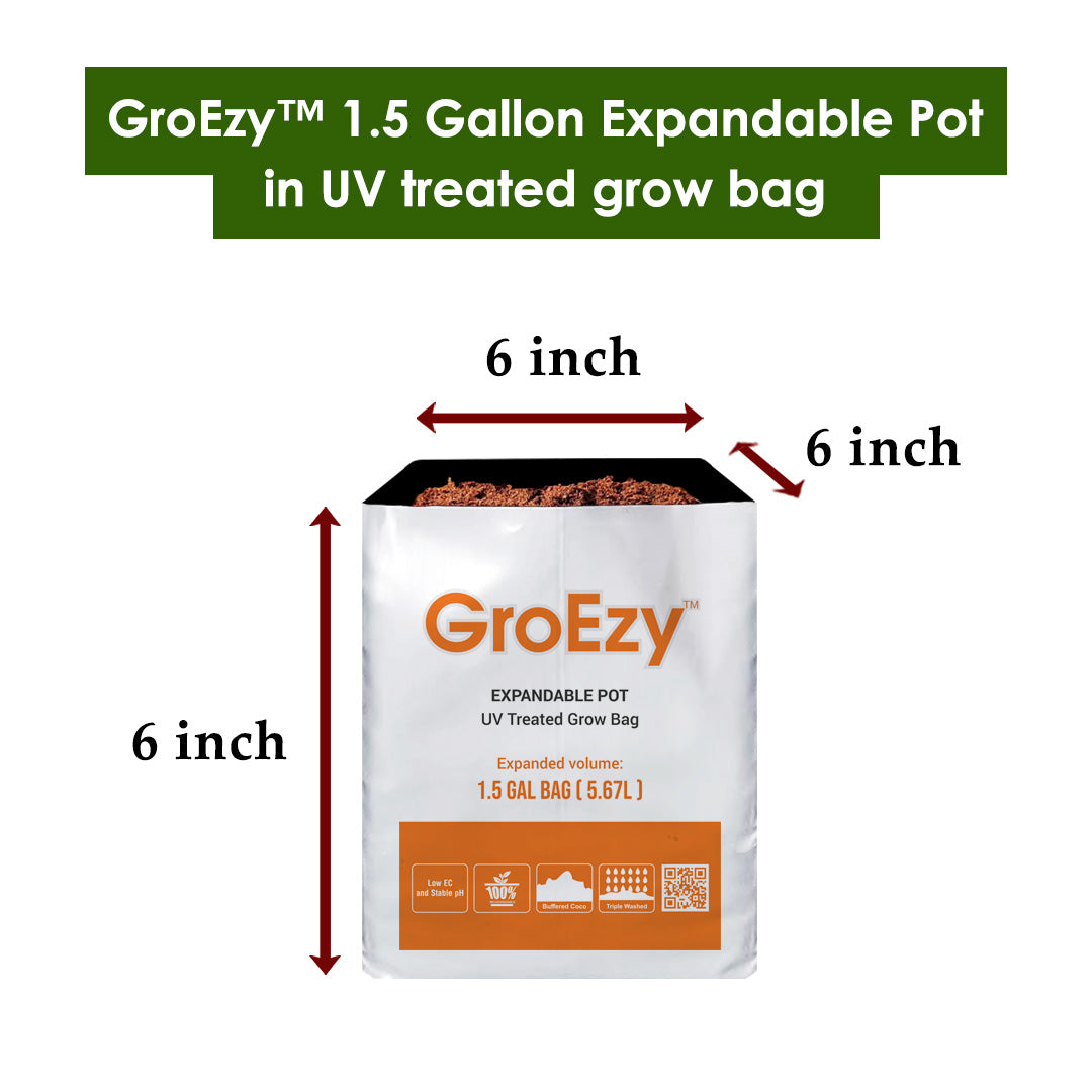 GroEzy™ 1.5 Gallon Expandable Pot in UV treated grow bag