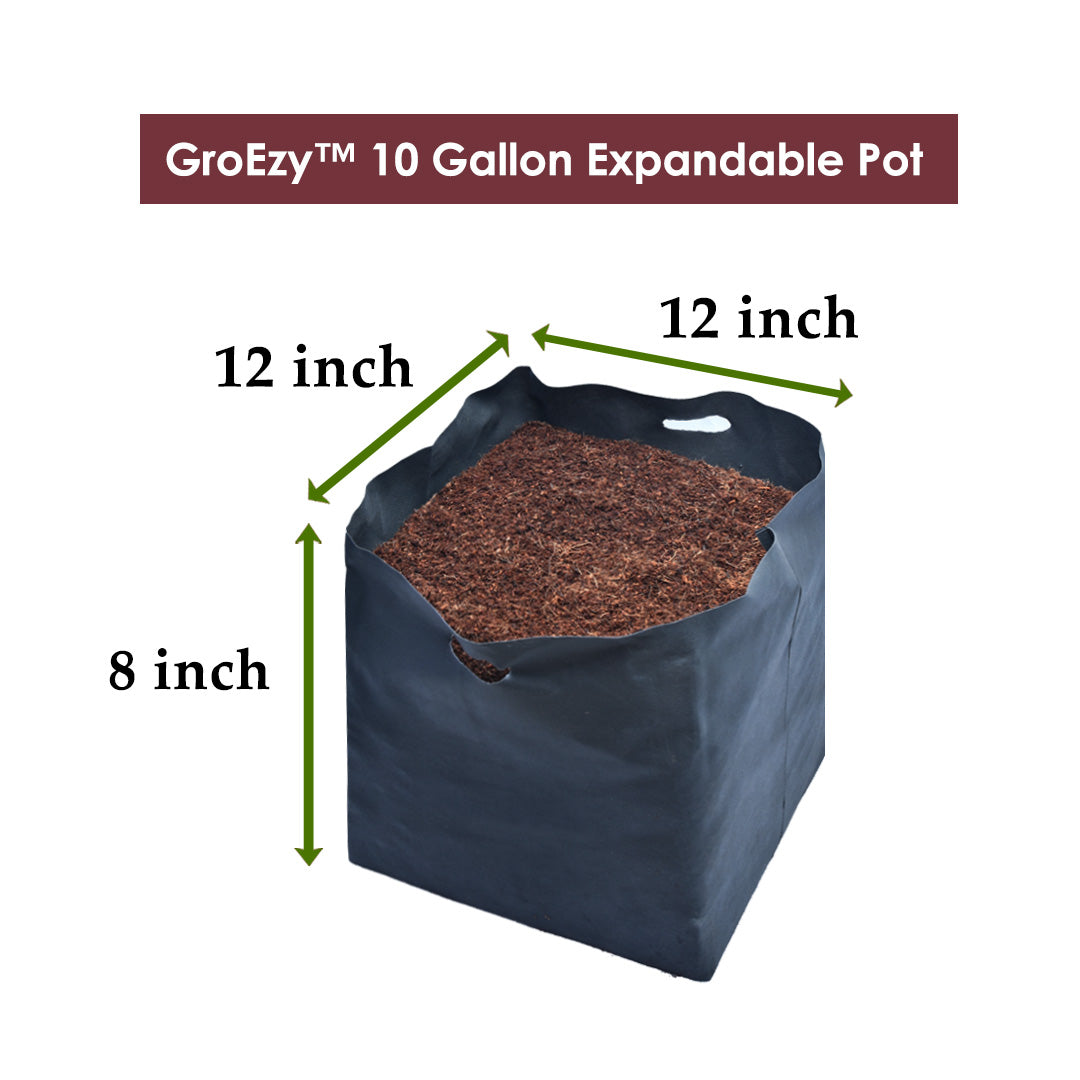 GroEzy™ 10 Gallon Expandable Pot