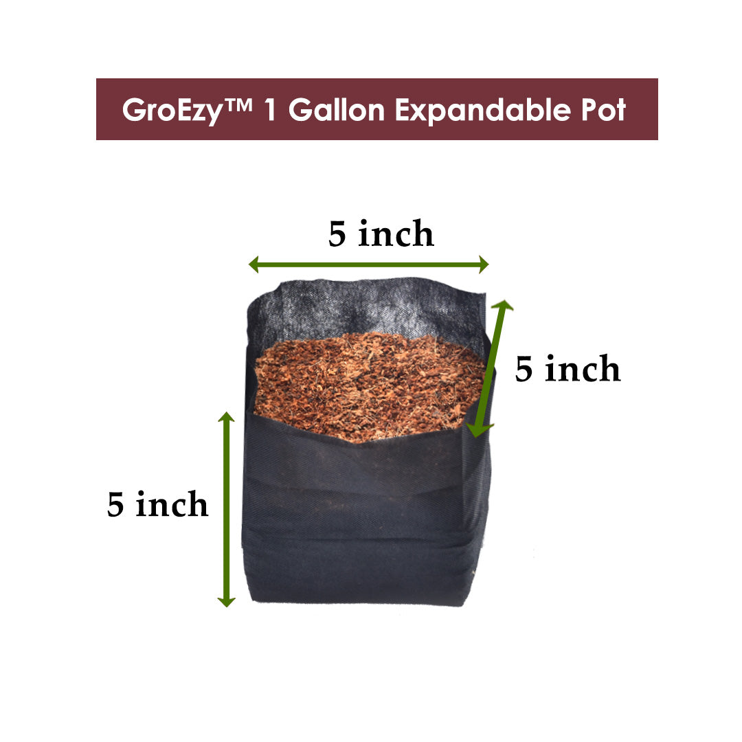 GroEzy™ 1 Gallon Expandable Pot