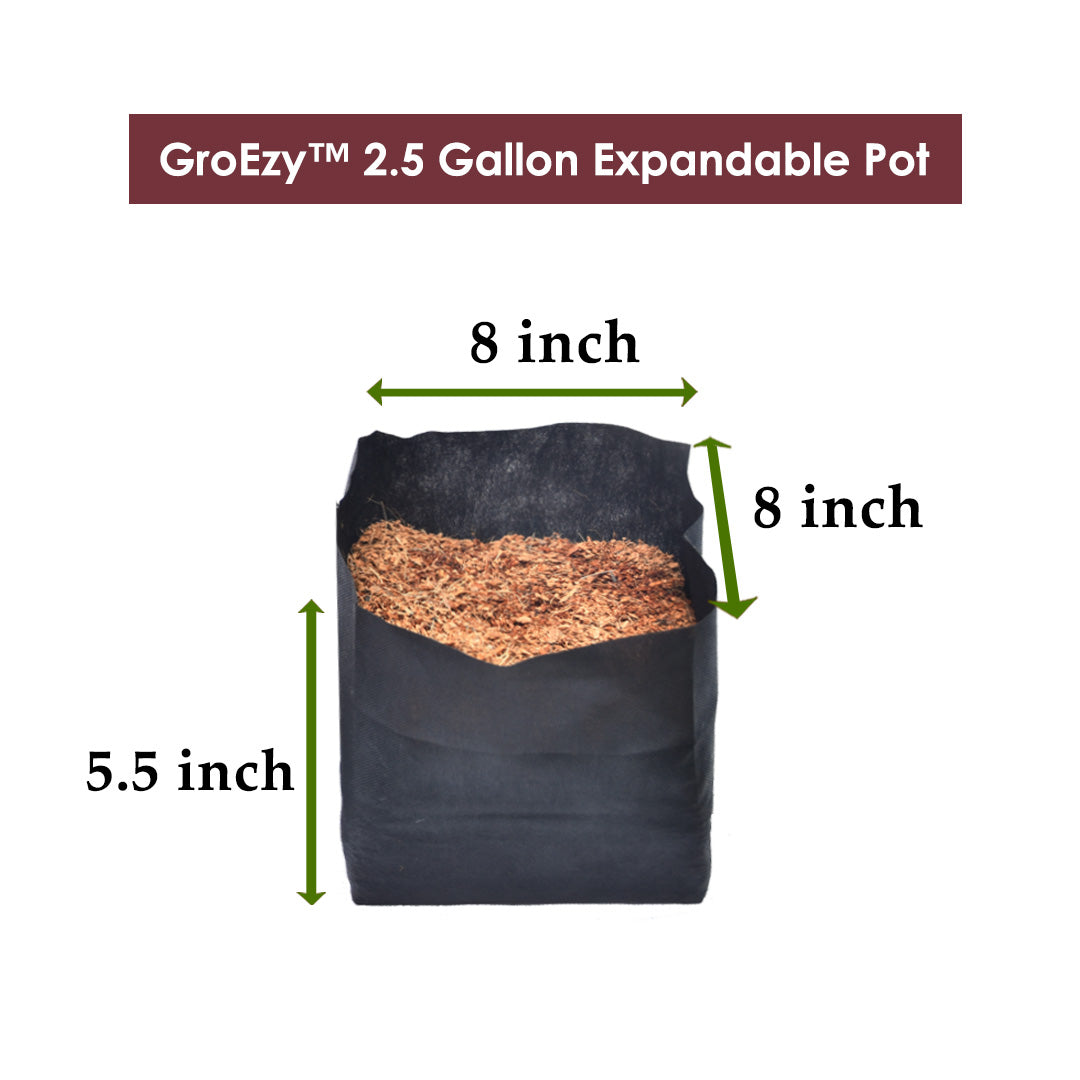 GroEzy™ 2.5 Gallon Expandable Pot