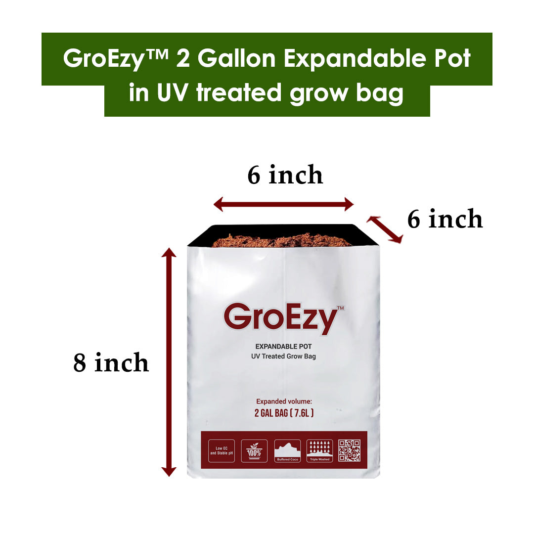 GroEzy™ 2 Gallon Expandable Pot in UV treated grow bag