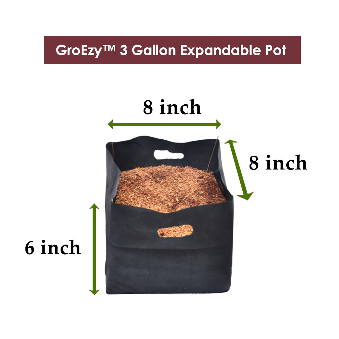 GroEzy™ 3 Gallon Expandable Pot in Fabric Bags