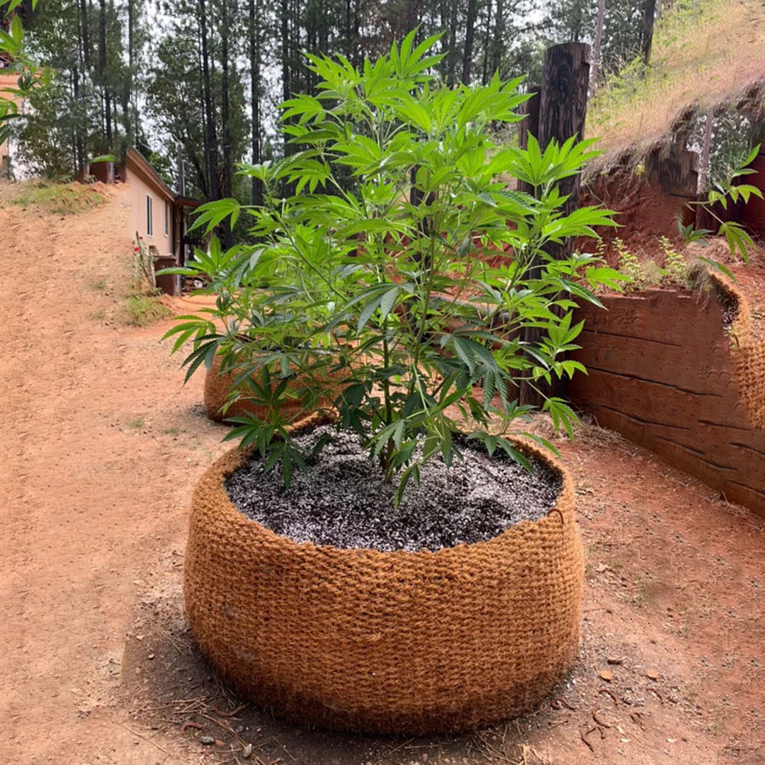 CoirNet  400 Gallon pot (5 Pot bundle)