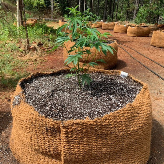 CoirNet  65 Gallon coir pot