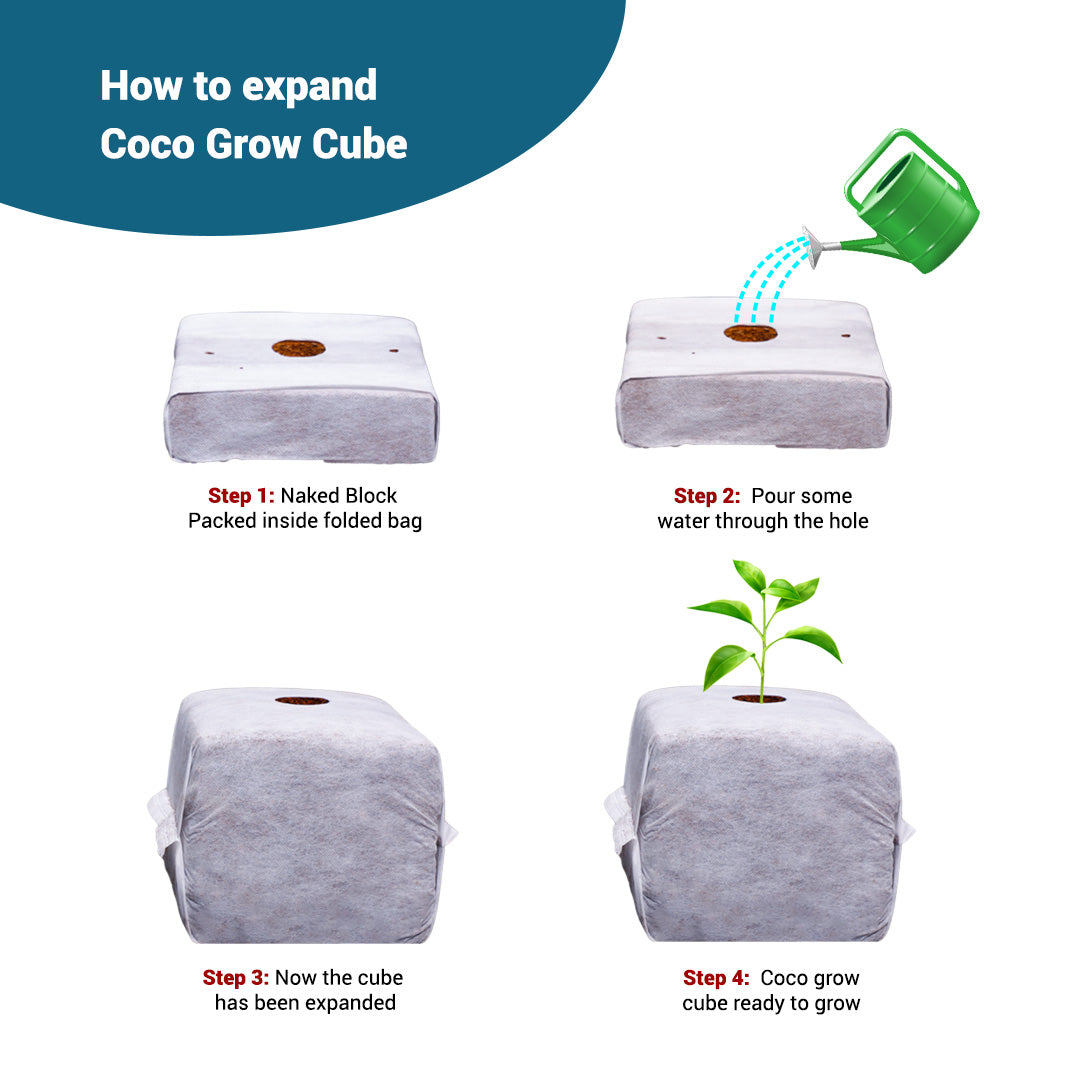 GroEzy™ 8" Coco Grow Cube