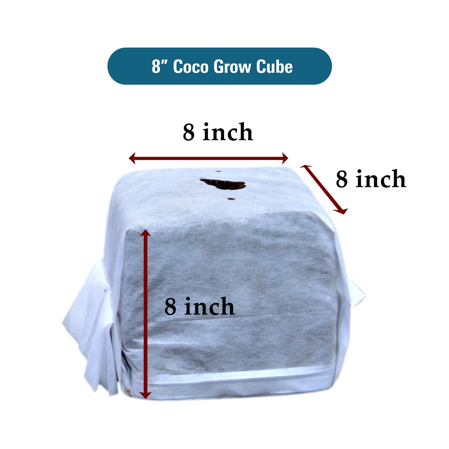 GroEzy™ 8" Coco Grow Cube