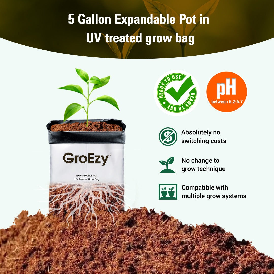 GroEzy™ 5 Gallon Expandable Pot in UV treated grow bag