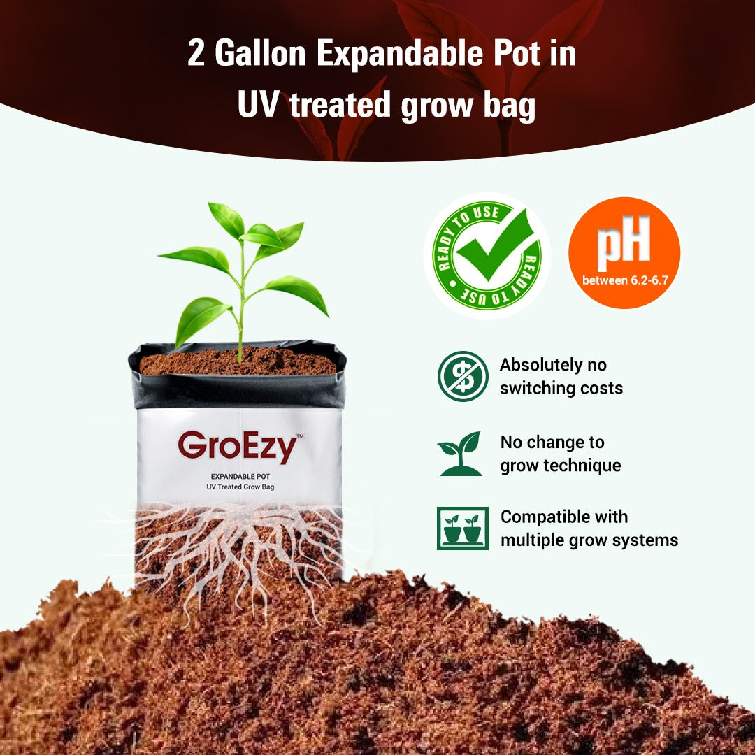 GroEzy™ 2 Gallon Expandable Pot in UV treated grow bag