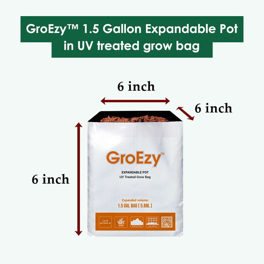 GroEzy™ 1.5 Gallon Expandable Pot in UV treated grow bag