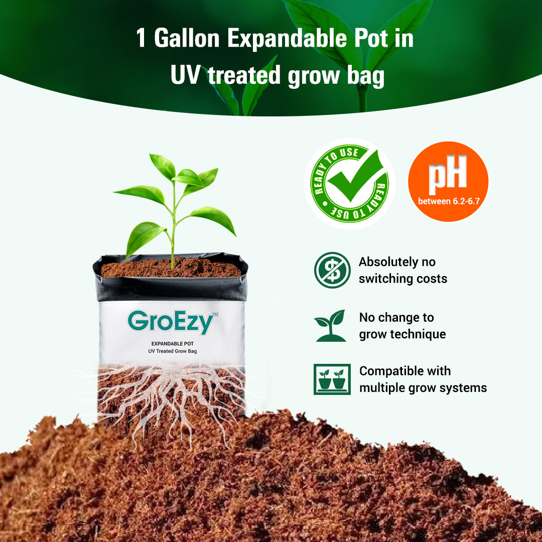 GroEzy™ 1 Gallon Expandable Pot in UV treated grow bag