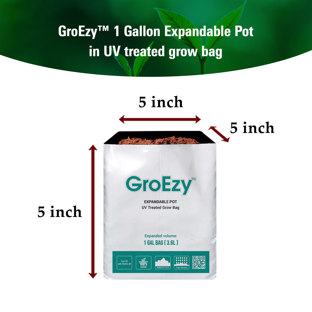 GroEzy™ 1 Gallon Expandable Pot in UV treated grow bag