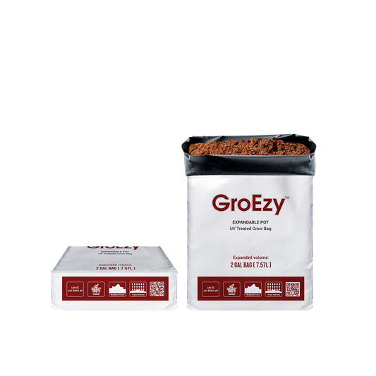 GroEzy™ 2 Gallon Expandable Pot in UV treated grow bag