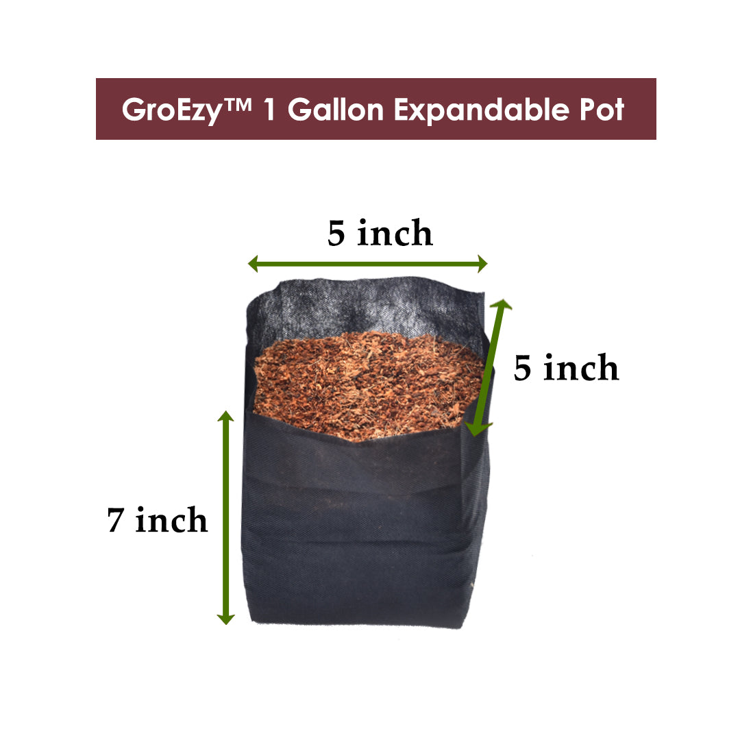 GroEzy™ Fabric bags 1 Gallon